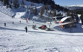 Alpenhotel